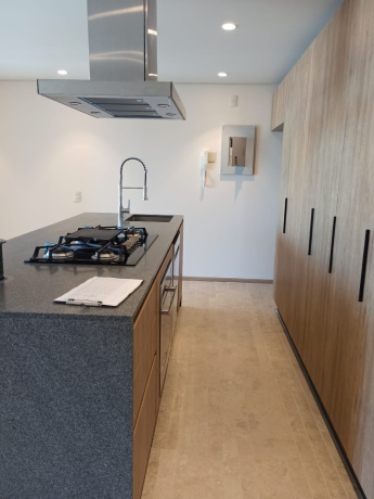 Puerto Vallarta, 48335, 0 , 0 ,0,Condominio,Fase 2 En Venta,1100